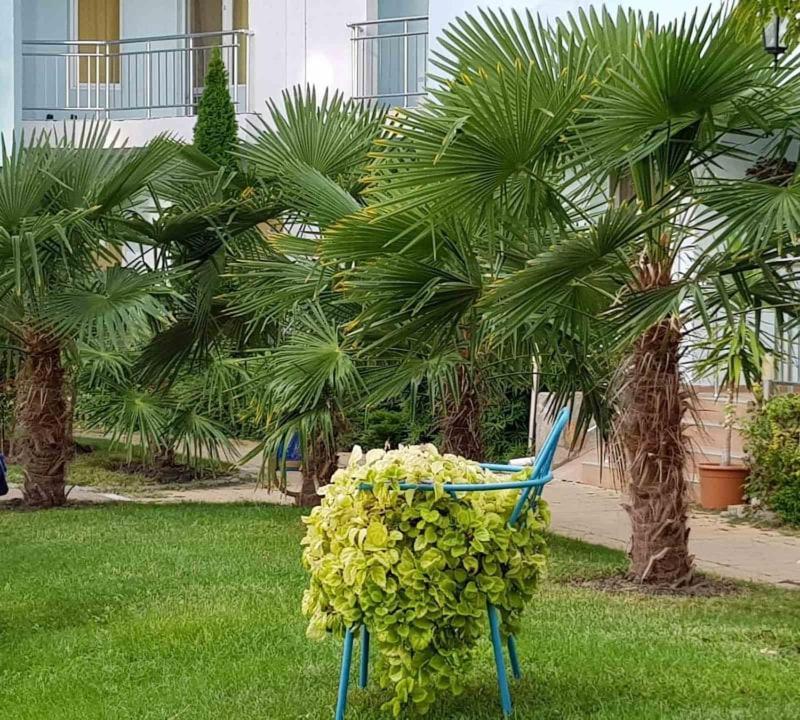 סאני ביץ' Yassen Holiday Village מראה חיצוני תמונה