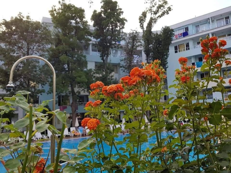 סאני ביץ' Yassen Holiday Village מראה חיצוני תמונה