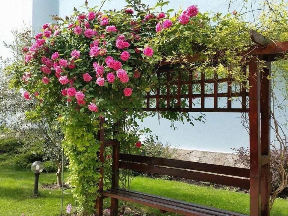 סאני ביץ' Yassen Holiday Village מראה חיצוני תמונה